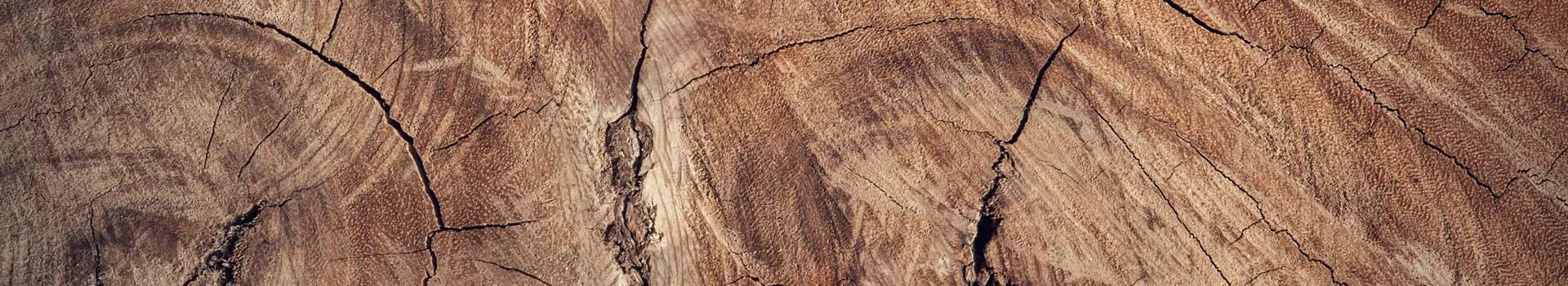 Madera